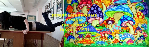 прущий лед Алексеевка