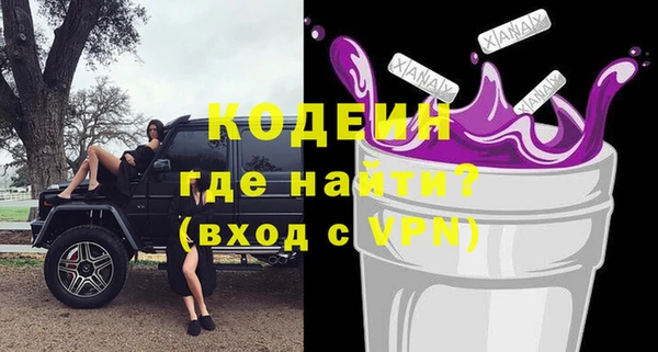 хмурый Алзамай