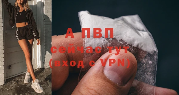 соль ск Алексин